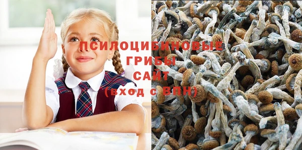 2c-b Алексеевка