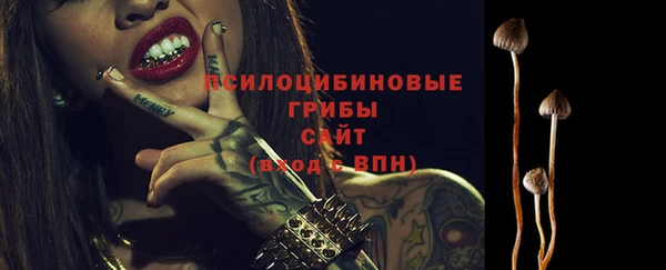 2c-b Алексин