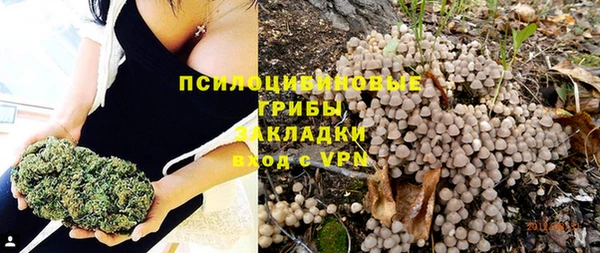 2c-b Алексеевка
