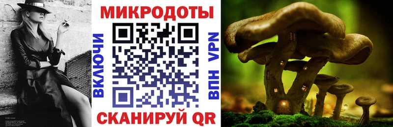 Галлюциногенные грибы прущие грибы Игра