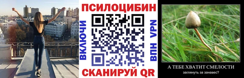 Псилоцибиновые грибы Cubensis  Игра 